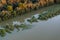 Aerial photo of the natural flooding Danube River