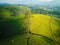 An aerial photo of tea plantations in Phu Tho, Vietnam