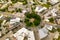 Aerial photo traffic circle Downtown Sebring FL USA