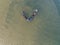 Aerial photo - two ship at the ocean