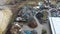Aerial photography 4k recycling machines, indastry Poland
