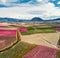 Aerial photography of a blossoming fruit trees