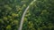 aerial photography of curved road on summer, colorful sumer nature colors on trees with sunset light