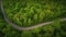 aerial photography of curved road on summer, colorful sumer nature colors on trees with sunset light