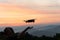 Aerial photography of dawn in mountainous terrain in fog. Drone takes off from the operator\'s hand.