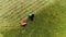 Aerial photography of field equipment,Agriculture. Aerial view. Tractor prepares land with a sowing cultivator.The