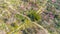 Aerial photography of Meihua Mountain in the Ming Xiaoling Mausoleum Scenic Spot in Nanjing, Jiangsu Province, China in spring