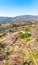 Aerial photography of Meihua Mountain in the Ming Xiaoling Mausoleum Scenic Spot in Nanjing, Jiangsu Province, China in spring