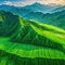 Aerial photography of mountains with rice Breathtaking fantasy landscape of rice Dron view of the rice high resolution