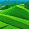 Aerial photography of mountains with rice Breathtaking fantasy landscape of rice Dron view of the rice high resolution