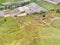 Aerial photography scenery of terraced rice fields