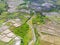 Aerial photography scenery of terraced rice fields