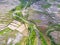 Aerial photography scenery of terraced rice fields