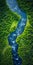 Aerial Pictorial: River Flowing Through Green Trees - National Geographic Photography