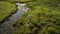 Aerial Picture Of Two Men Walking In The Marsh With Their Dog