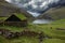 AERIAL: Picturesque traditional Scandinavian houses hide in the vast valley.