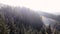 Aerial pine forest mountains fog smoke