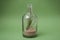 Aerial plant in miniature landscape in a transparent bottle on green background