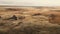 Aerial Prairie Pasture Scene With Decaying Landscapes And Atmospheric Light