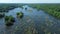 Aerial push over Rocky Shoal Spider Lilies in bloom on the Catawba River