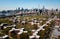 Aerial of Queensborough bridge and downtown manhattan