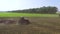 Aerial of red tractors plowing soil in early spring