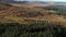 Aerial Reveal of the Old Viaduct in Scotland