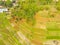 Aerial rice fields that are flooded after rain