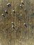 Aerial rolled hay farmland fields countryside landscape in Alentejo, Portugal.