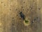 Aerial rolled hay farmland fields countryside landscape in Alentejo, Portugal.