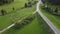 Aerial rural forest landscape with sheep at a cloudy day - video footage