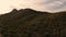 Aerial of Saguaros on a green hill in Arizona