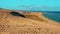 Aerial sand dunes in the desert shoreline, beach Costa Calma. Fuerteventura, Canary Islands, Spain. Relax on vacation