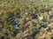 Aerial Of Sapphire Mining Leases On The Gemfields Queensland Australia