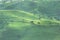 Aerial scenery of tea plantation on a valley, Indonesia