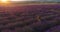 Aerial shoot of little girl sitting in the flowering field of lavender in slow motion