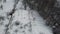 Aerial shot above a old woman walking on snow