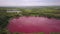 Aerial shot on amazing pink lake at summer day, ecological catastrophe