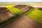 Aerial shot of arable land and cultivated blooming field of canola crops from drone pov