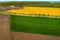 Aerial shot of asphalt road surrounded with trees and cultivated fields of rapeseed and wheat crops, drone pov