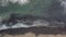 Aerial shot of beach with Seaweed Posidonia oceanica sand and waves break on the shore