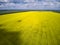 Aerial shot of beautiful cultivated landscape with rapeseed, wheat and corn crop fields