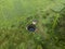 Aerial shot of a beautiful green farmland with lots of trees and a water pond