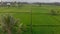 Aerial shot of a beautiful rice field during sunset. Travel to South East Asia concept