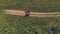 Aerial shot beautiful romantic wedding walking with a horse.