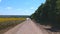 Aerial shot of black pickup truck fast riding through empty rural road. Off road vehicle going on dusty route near field