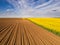 Aerial shot of canola, seed from a drone.