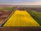 Aerial shot of canola, seed from a drone.
