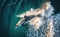 Aerial shot captures dolphin jumping out of water, generative AI