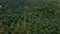 Aerial shot of coffee plantations on hillsides in mountains